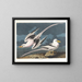 Tropischer Vogel - John James Audubon — gerahmtes Bild an der Wand