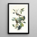 Moucherolle chanteur - John James Audubon — gerahmtes Bild an der Wand