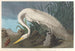 Weißer Reiher - John James Audubon — Ansicht des Kunstwerks