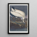 Ibis des bois - John James Audubon — gerahmtes Bild an der Wand