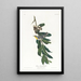 Paruline à gorge jaune - John James Audubon — gerahmtes Bild an der Wand