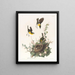 Paruline polyglotte - John James Audubon — gerahmtes Bild an der Wand