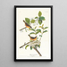 Paruline à poitrine jaune - John James Audubon — gerahmtes Bild an der Wand