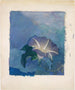 Nachtgemälde - John La Farge — Ansicht des Kunstwerks