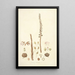 Collectanea botanica Pl05 - John Lindley — gerahmtes Bild an der Wand