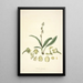 Collectanea botanica Pl20 - John Lindley — gerahmtes Bild an der Wand