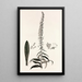 Collectanea botanica Pl35 - John Lindley — gerahmtes Bild an der Wand