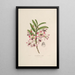 Sertum orchidaceum Eine Krone der schönsten Orchideenblumen Pl03 - John Lindley — gerahmtes Bild an der Wand