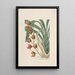 Sertum orchidaceum Eine Krone der schönsten Orchideenblumen Pl04 - John Lindley — gerahmtes Bild an der Wand