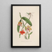 Sertum orchidaceum Eine Krone der schönsten Orchideenblumen Pl05 - John Lindley — gerahmtes Bild an der Wand