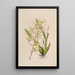 Sertum orchidaceum Eine Krone der schönsten Orchideenblumen Pl07 - John Lindley — gerahmtes Bild an der Wand