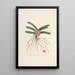 Sertum orchidaceum Eine Krone der schönsten Orchideenblumen Pl17 - John Lindley — gerahmtes Bild an der Wand