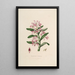 Sertum orchidaceum Eine Krone der schönsten Orchideenblumen Pl18 - John Lindley — gerahmtes Bild an der Wand