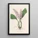 Sertum orchidaceum Eine Krone der schönsten Orchideenblumen Pl24 - John Lindley — gerahmtes Bild an der Wand