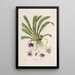 Sertum orchidaceum Eine Krone der schönsten Orchideenblumen Pl26 - John Lindley — gerahmtes Bild an der Wand
