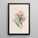 Sertum orchidaceum Eine Krone der schönsten Orchideenblumen Pl29 - John Lindley — gerahmtes Bild an der Wand