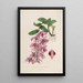 Sertum orchidaceum Eine Krone der schönsten Orchideenblumen Pl35 - John Lindley — gerahmtes Bild an der Wand
