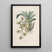 Sertum orchidaceum Eine Krone der schönsten Orchideenblumen Pl38 - John Lindley — gerahmtes Bild an der Wand
