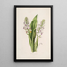 Sertum orchidaceum Eine Krone der schönsten Orchideenblumen Pl42 - John Lindley — gerahmtes Bild an der Wand