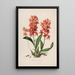 Sertum orchidaceum Eine Krone der schönsten Orchideenblumen Pl45 - John Lindley — gerahmtes Bild an der Wand
