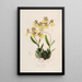 Sertum orchidaceum Eine Krone der schönsten Orchideenblumen Pl48 - John Lindley — gerahmtes Bild an der Wand