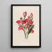 Sertum orchidaceum Eine Krone der schönsten Orchideenblumen Pl49 - John Lindley — gerahmtes Bild an der Wand