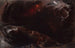 Der Flut - John Martin — Ansicht des Kunstwerks