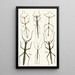 Le cabinet d'entomologie orientale Pl XL - John Obadiah Westwood — gerahmtes Bild an der Wand