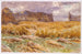 Champ Camouflé en France - John Singer Sargent — Ansicht des Kunstwerks
