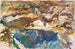 Mann und Pool, Florida - John Singer Sargent — Ansicht des Kunstwerks