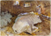 Bœufs - John Singer Sargent — Ansicht des Kunstwerks