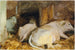 Drei Rinder - John Singer Sargent — Ansicht des Kunstwerks