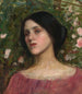 La Tonnelle de Roses - John William Waterhouse — Ansicht des Kunstwerks