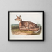 Hirsch von Virginie, Kitz, natürliche Größe - John Woodhouse Audubon — gerahmtes Bild an der Wand