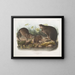 Ratte musqué natürlich in Originalgröße alt und jung - John Woodhouse Audubon — gerahmtes Bild an der Wand