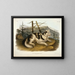 Hund indischer Hare - John Woodhouse Audubon — gerahmtes Bild an der Wand