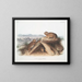 Lagomys princeps Kleiner Hase Originalgröße - John Woodhouse Audubon — gerahmtes Bild an der Wand