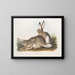 Kaninchen von Townsend, Bergkaninchen, Naturgröße, männlich und weiblich - John Woodhouse Audubon — gerahmtes Bild an der Wand
