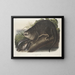 Loutre du Canada taille naturelle mâle - John Woodhouse Audubon — gerahmtes Bild an der Wand