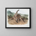 Lynx roux var. maculatus femelle du Texas - John Woodhouse Audubon — gerahmtes Bild an der Wand