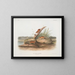 Orange Maus Mus aureolus Größe natur - John Woodhouse Audubon — gerahmtes Bild an der Wand