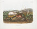 Lemming der Hudson-Bucht in Originalgröße - John Woodhouse Audubon — Ansicht des Kunstwerks
