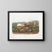 Lemming der Hudson-Bucht in Originalgröße - John Woodhouse Audubon — gerahmtes Bild an der Wand