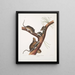 Neotoma Floridana Ratte von Florida Natürliche Größe Männchen, Weibchen und Jungtiere unterschiedlichen Alters - John Woodhouse Audubon — gerahmtes Bild an der Wand