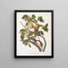 John Woodhouse Audubon — gerahmtes Bild an der Wand