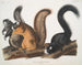 Foxes in natural size - John Woodhouse Audubon — Ansicht des Kunstwerks