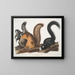 Foxes in natural size - John Woodhouse Audubon — gerahmtes Bild an der Wand