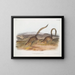 Spermophile annelé taille naturelle - John Woodhouse Audubon — gerahmtes Bild an der Wand