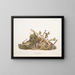 Erdmännchen mit vier Streifen - John Woodhouse Audubon — gerahmtes Bild an der Wand