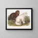 Renard arctique en hiver et en été - John Woodhouse Audubon — gerahmtes Bild an der Wand